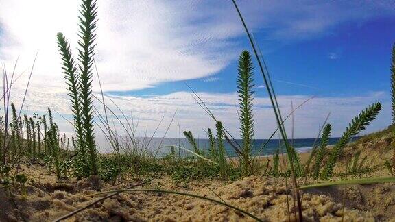 从海滩上的沙丘看大西洋