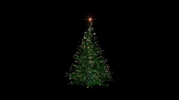 圣诞彩灯圣诞树旋转映衬黑色