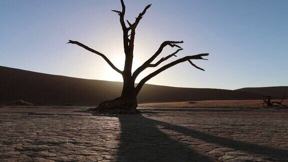 沙漠-多利拍摄于索苏瓦莱-纳米布沙漠