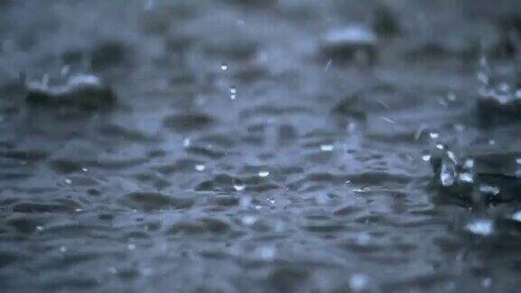 慢动作的热带雨雨滴在慢动作雨滴特写