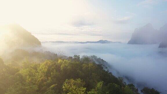 鸟瞰热带山脉和雨林景观在清晨的薄雾