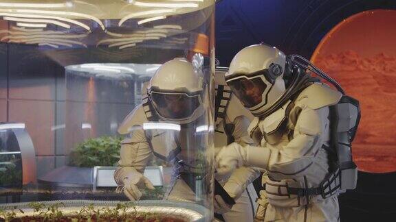宇航员检查植物培养箱