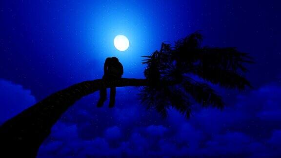 小男孩坐在棕榈树上满月下星空下高清