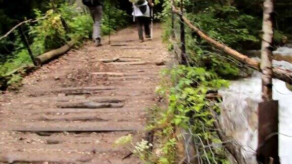 两个女人在一座古老的木桥上行走