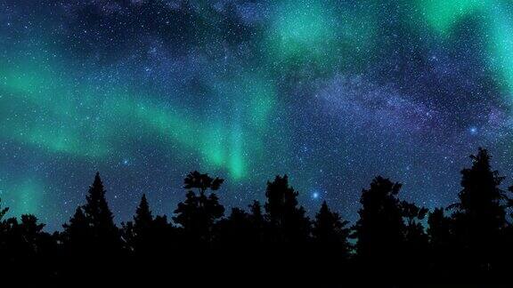 极光北极光树度假旅游冬季森林景观星空4k
