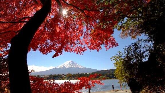 富士山秋色日本