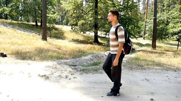一个背包客在夏季风景如画的松林里徒步旅行