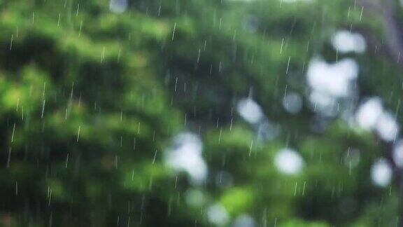 雨落下的自然背景