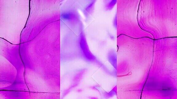 在垂直屏幕上波动的紫色液体的动画在移动破裂的粉红色模糊