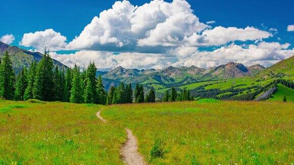 理想的徒步旅行背包自行车小径在绿色的草地上的科罗拉多backcountryTimeLapse4K