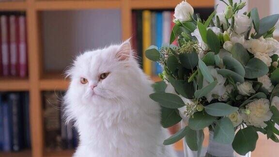 猫嗅着一束花四处张望