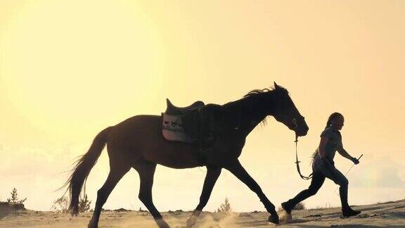 骑马女骑手的剪影骑着马奔跑沿着地平线高耸的沙丘在夕阳西下时天空的背景和阳光的光线背光