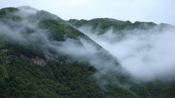 山上低低的云低雾山区全景图