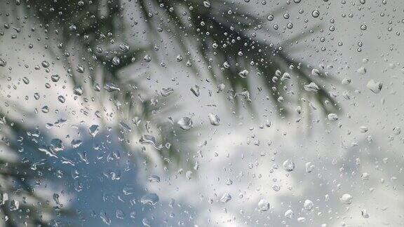 清爽的降雨:宁静的雨滴落在透明的玻璃上背景是摇曳的椰叶