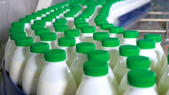 许多装着牛奶的塑料瓶在工厂的传送带上移动