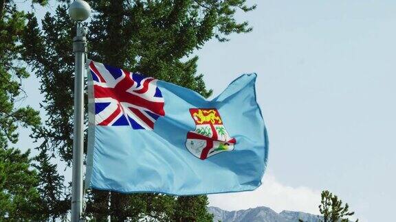 慢动作拍摄的斐济旗在风吹松树在一个阳光明媚的日子