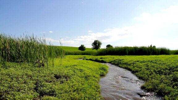 夏季小溪流过绿草地旅行背景高清