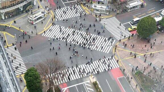 涉谷十字路口行人过马路鸟瞰图