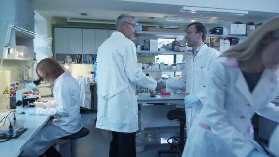 在实验室里身着白大褂的资深科学家正在问候同事
