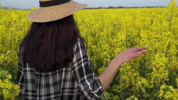 一个女人的后视图与草帽走在油菜籽田
