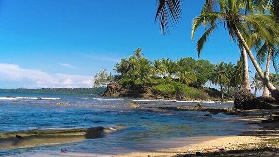 田园诗般的加勒比白色处女海滩水上有棕榈树