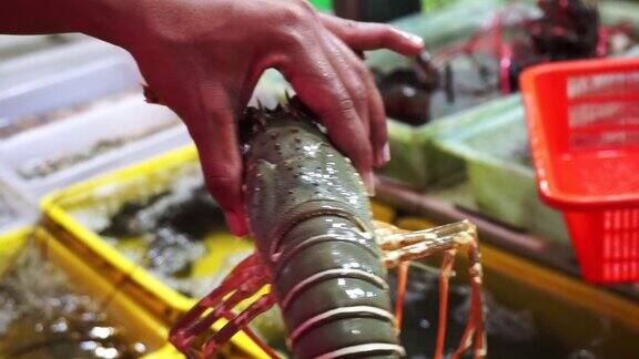 新鲜鲜活的海鲜大龙虾在泰国普吉岛热销