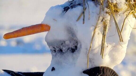 仔细看看雪人的胡萝卜鼻子