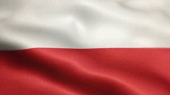 波兰国旗动画股票视频-波兰国旗挥舞在循环和纹理3d渲染的背景-高度详细的织物图案和可循环-波兰共和国国旗