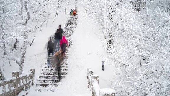 黄山的雪景