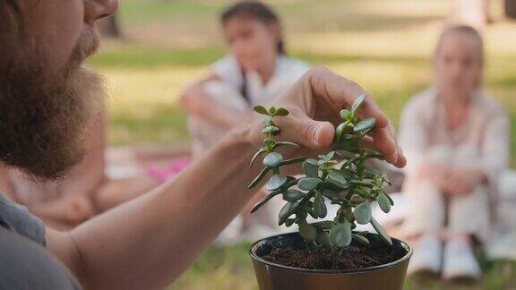 男人教孩子户外植物的特写