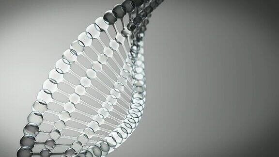 灰色背景上的DNA螺旋