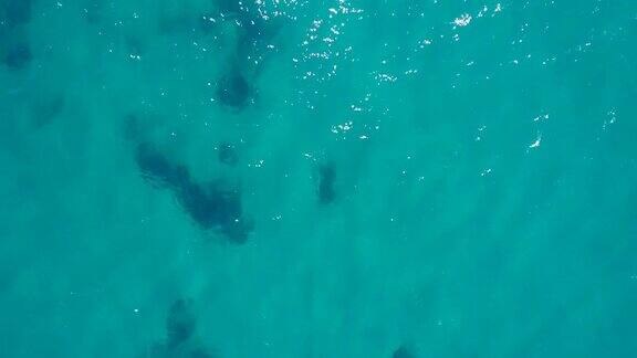 无人机飞美丽的海鸟瞰图-4K视频