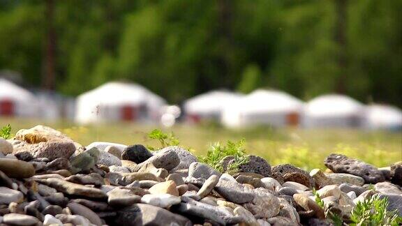 蒙古帐篷营地