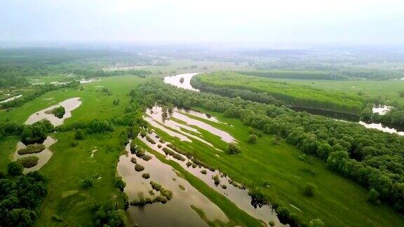 河流洪水鸟瞰图在美丽的淹没的绿色草地上飞翔