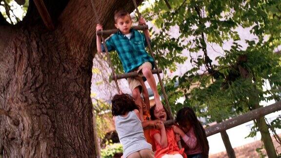 一群孩子在树上的绳梯上