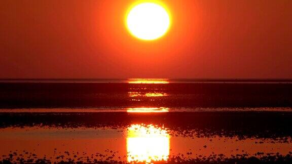 瓦登海边浪漫的日落低潮北海
