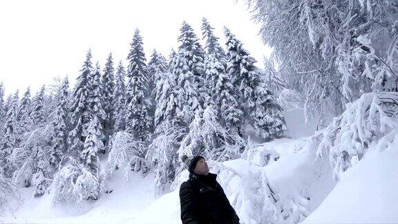人类欣赏冬天的森林