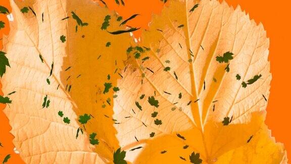 多秋叶落在橙色背景上的动画