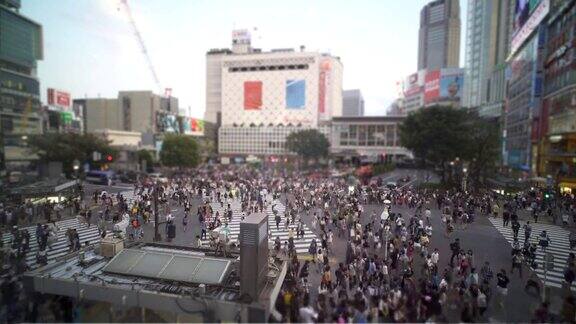 东京繁忙的斑马线