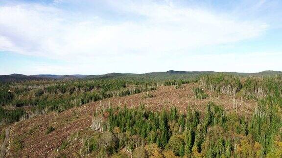 加拿大北部森林的毁林地区鸟瞰图