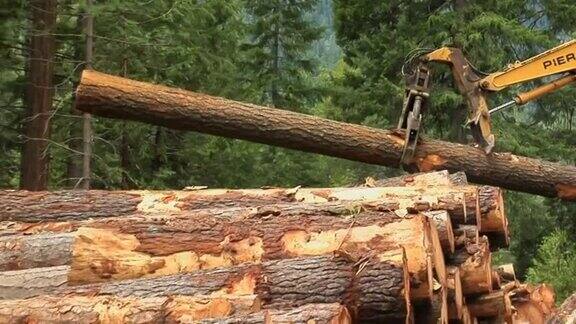 堆放木材