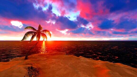 日落时分小岛上的椰子树
