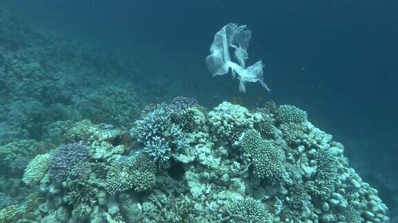 塑料污染-一块塑料袋漂浮在珊瑚礁上逐渐坍塌变成微塑料塑料垃圾环境污染问题
