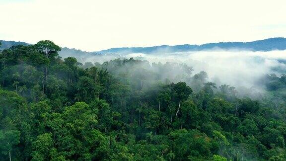 热带森林遭遇大雾航拍摄影