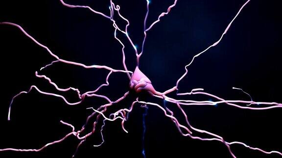 传递信息或记忆的神经元细胞