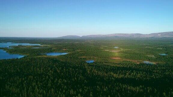 鸟瞰图蓝色的湖泊和绿色的森林在一个阳光明媚的夏天在芬兰