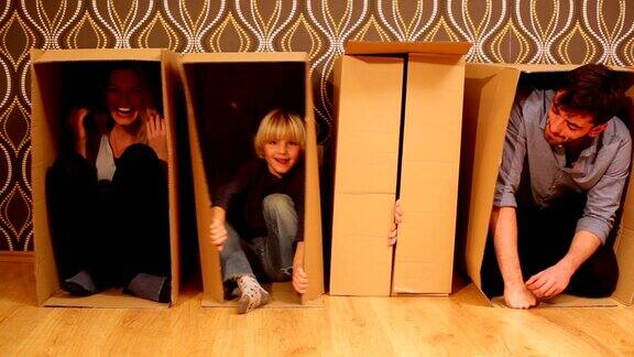 家庭的乐趣躲在纸板箱里