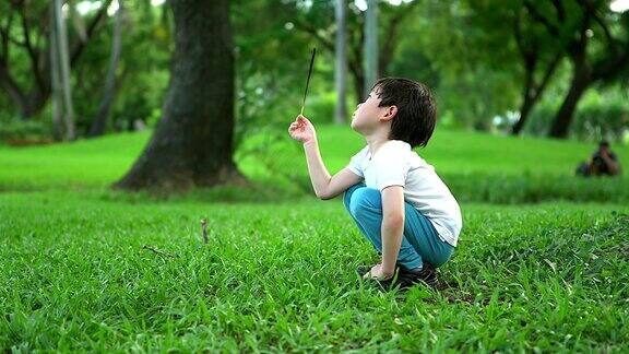 这个男孩在研究自然那个男孩正坐在草地上看动物