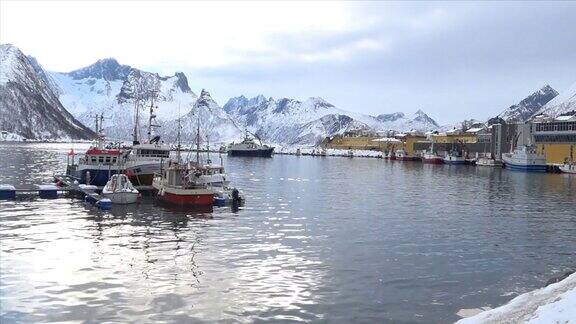 冬天挪威北部的霍赛岛港口的渔船