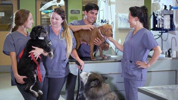 动物医院的工作人员带着狗对着镜头微笑